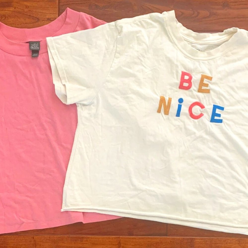 Wild Fable Mighty Fine Crop Top T-Shirt Lot Size L Pink Ivory BE NICE embroidery